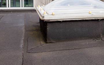 disadvantages of Black Park flat roofs