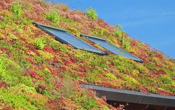 Black Park living roof systems