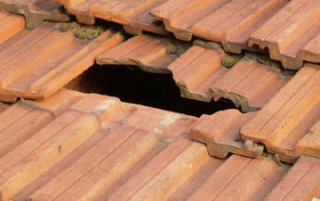 roof repair Black Park, Wrexham