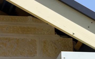 soffit repair Black Park